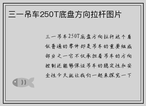 三一吊车250T底盘方向拉杆图片