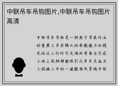 中联吊车吊钩图片,中联吊车吊钩图片高清